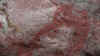 findlinge20100814a.JPG (41997 Byte)